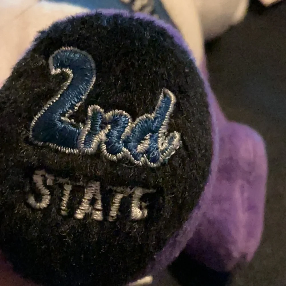 Pennsylvania Purple & White Plush Bear - Souvenir